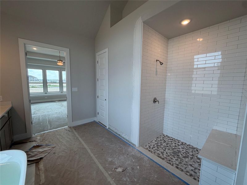 Walk-in shower in Primary Bath