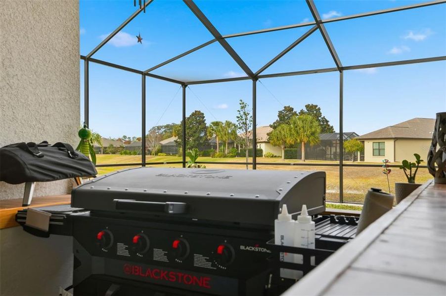 Exterior details and patio area of a home in , Weeki Wachee (Image 29).