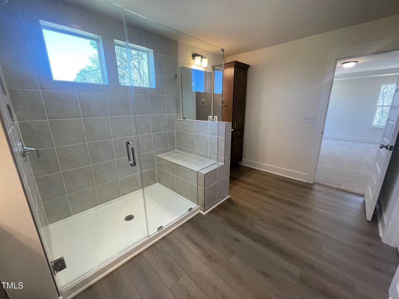 Primary Luxury Shower