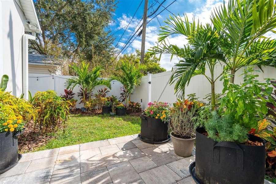 Exterior details and patio area of a home in , Safety Harbor (Image 44). Exterior details and patio area of a home in , Safety Harbor (Image 44).