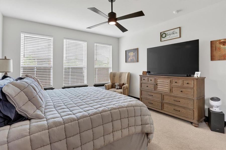 Bright room featuring three windows with horizontal blinds, a ceiling fan with integrated lighting, and neutral-toned wall-to-wall carpeting
