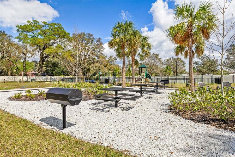 Community amenities in Vivir, Valrico (Image 17).