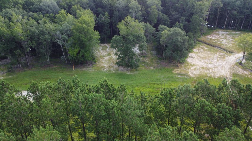 Natural landscape and outdoor views near  in Cross (Image 16).