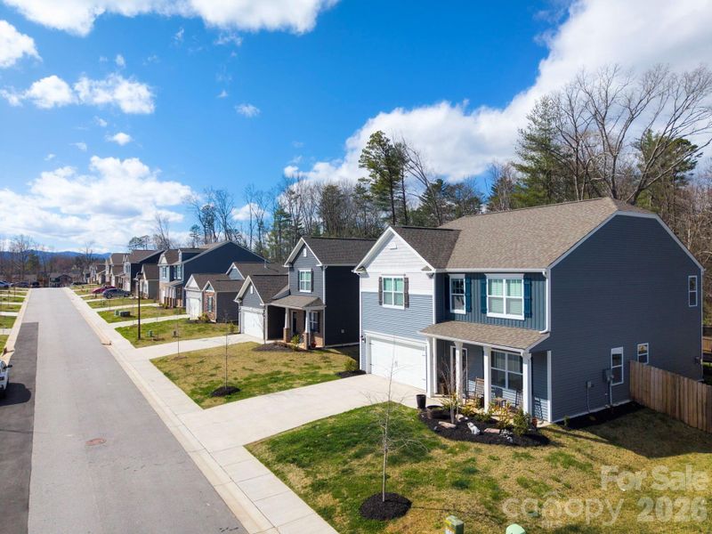 Incredible Neighborhood