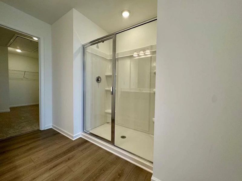 Primary Bathroom Walk-In Shower