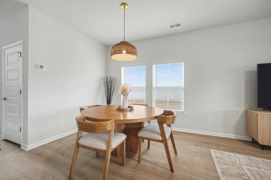 Furnished interior view inside a new home in Heron's Walk at Summers Corner, Summerville (Image 5).