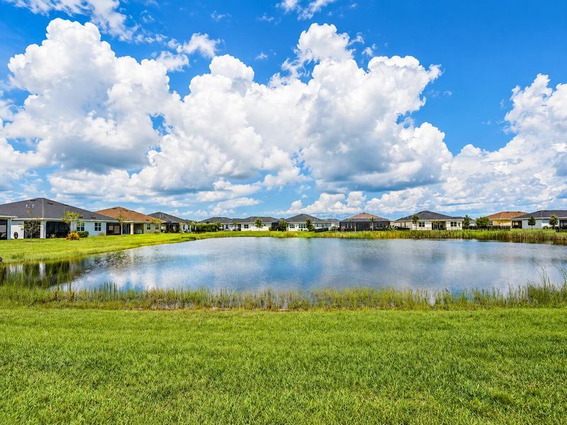 Lake View