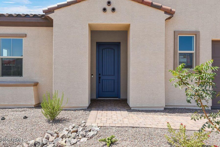 hj-az-phoenix-cantamia-portato-lot-28052