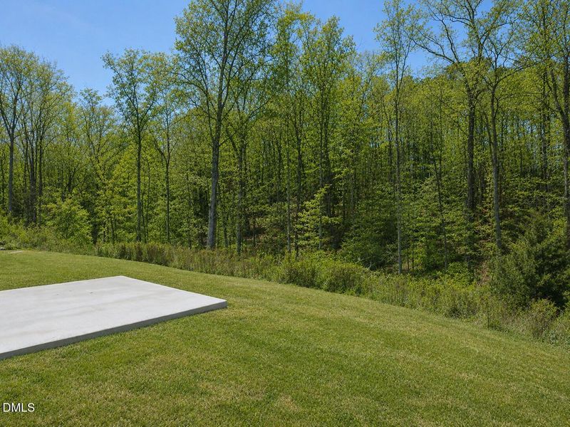 Backs to Woods for Privacy Backs to Woods for Privacy