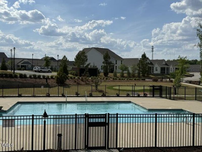 community pool community pool