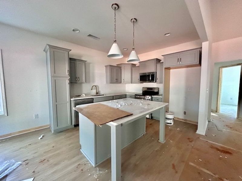 In-progress construction of a new home in Forrest Farms, Greenville, GA (Image 5).