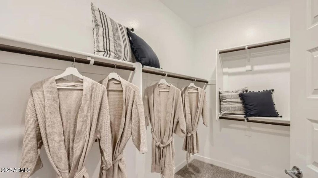 Owners Walk in Closet Owners Walk in Closet