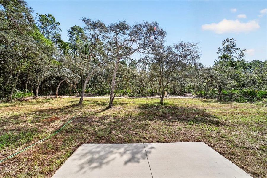 Natural landscape and outdoor views near  in Ocklawaha (Image 31).
