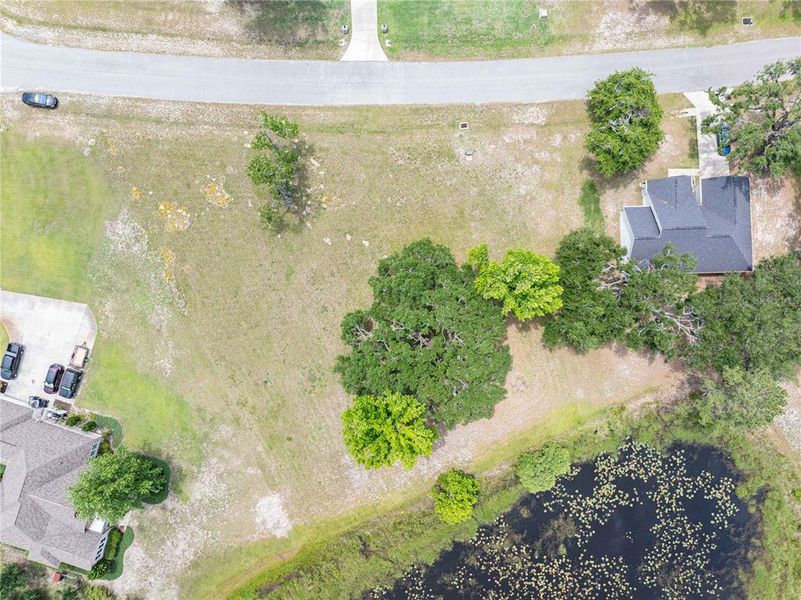 Natural landscape and outdoor views near  in Live Oak (Image 37).