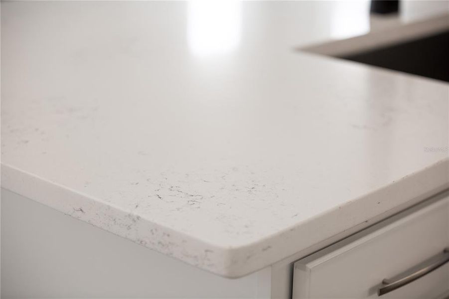 Close-up of interior finishes inside a home in Bungalow Walk at Lakewood Ranch, Lakewood Ranch (Image 16).