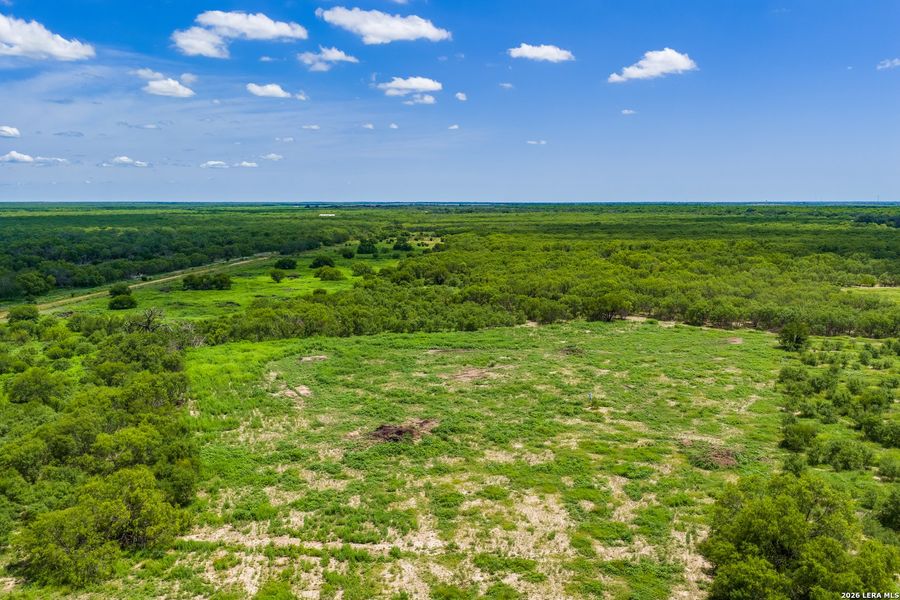 Natural landscape and outdoor views near  in Crystal City (Image 34).