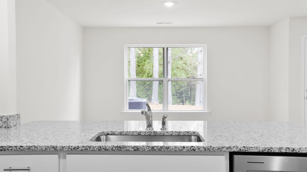 Close-up of interior finishes inside a home in Chestnut Ridge Townhomes, Greenville (Image 12).