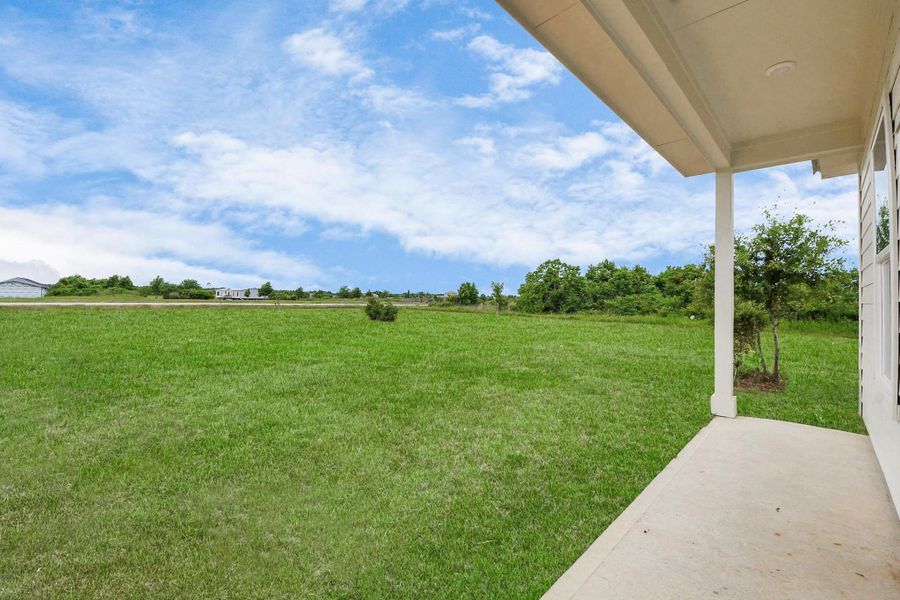 Patio/Backyard Patio/Backyard