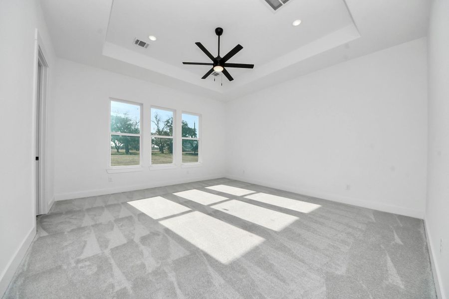 Primary suite with architectural ceiling