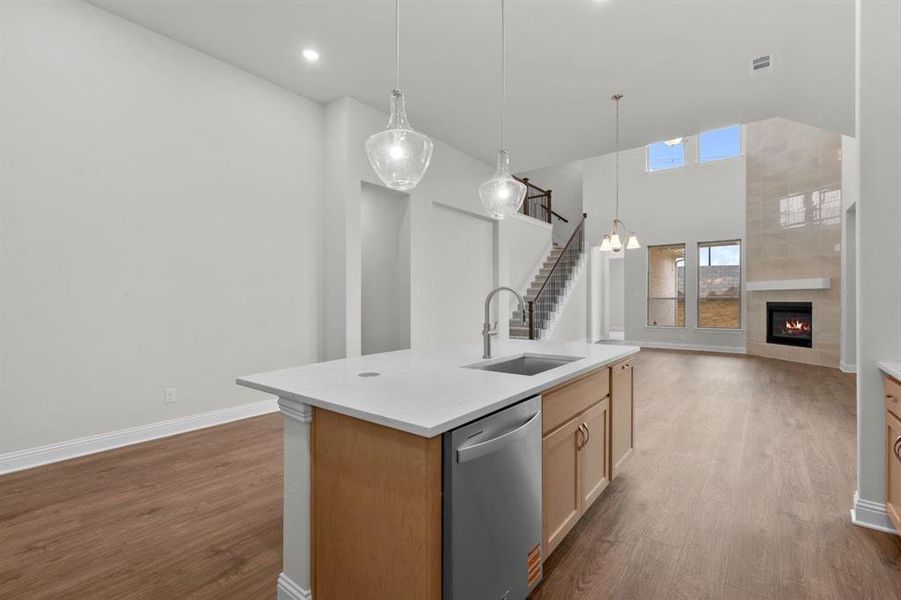 DAL_Painted Tree_Kilgore IV_3200 Vermilion Street (11)