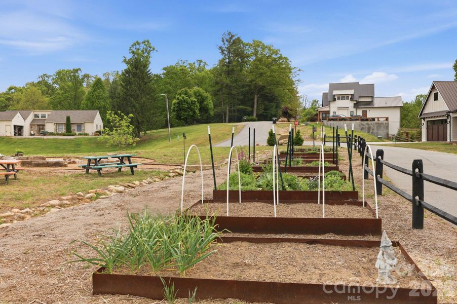 Westridge Farm Rd community gardens