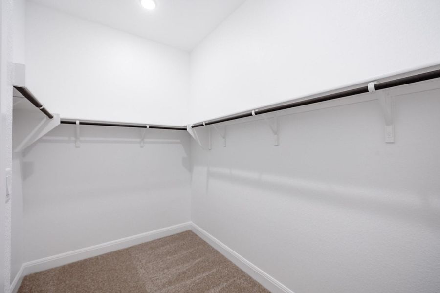 Spacious closet featuring carpet Spacious closet featuring carpet