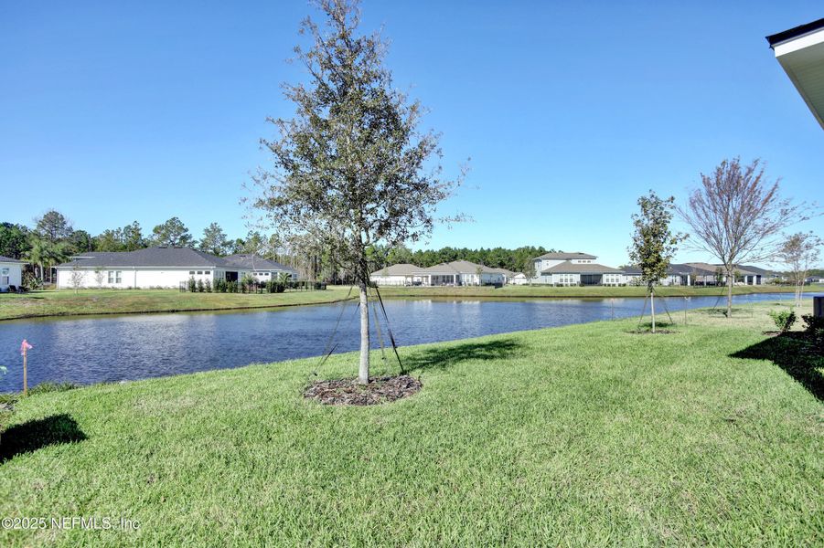Natural landscape and outdoor views near  in St. Augustine (Image 16).