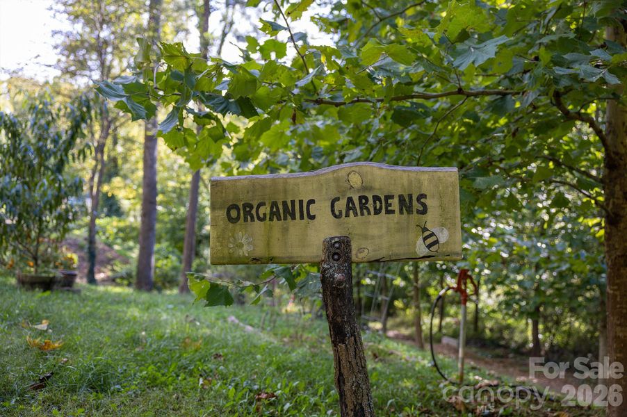 Community Organic Gardens