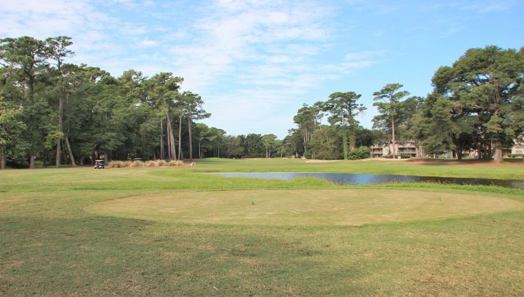 Natural landscape and outdoor views near The Meadows at Wildwood Village in Shallotte (Image 11).