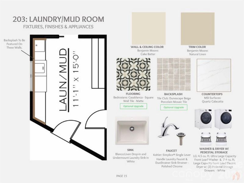 Sample of building materials used in homes in , Mill Spring (Image 11).