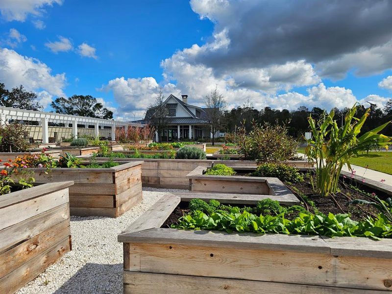 Community amenities in Angeline Active Adult: Active Adult Manors, Land O' Lakes (Image 33).