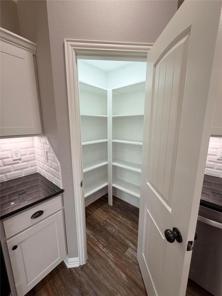 Walk-in Pantry