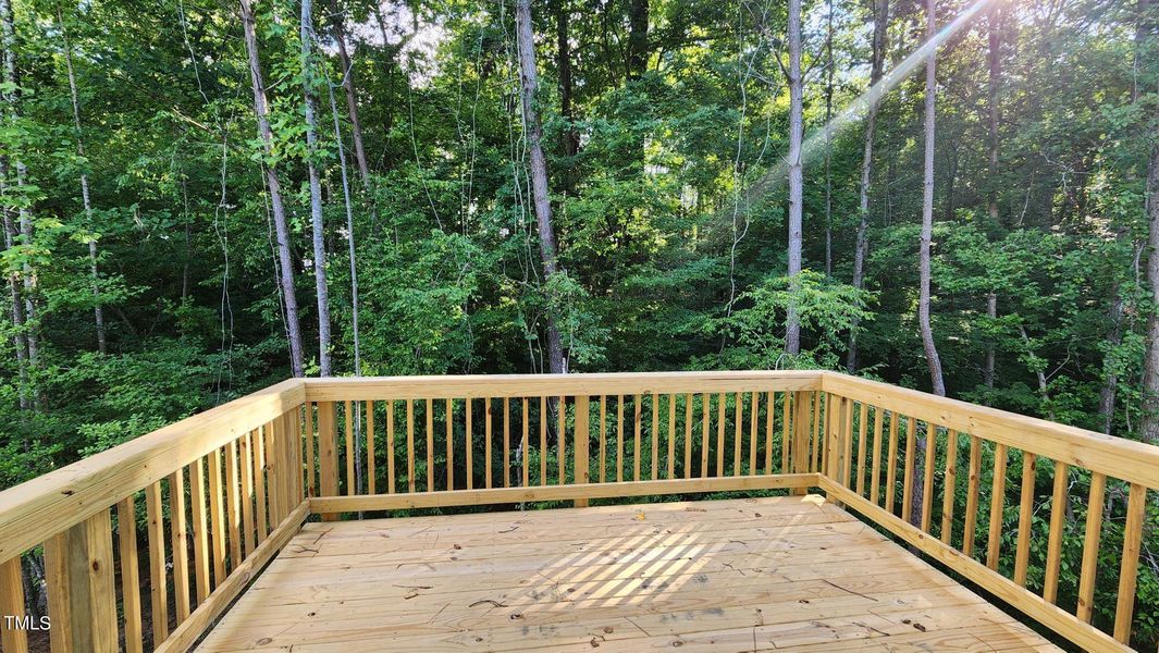 Private Deck (16)