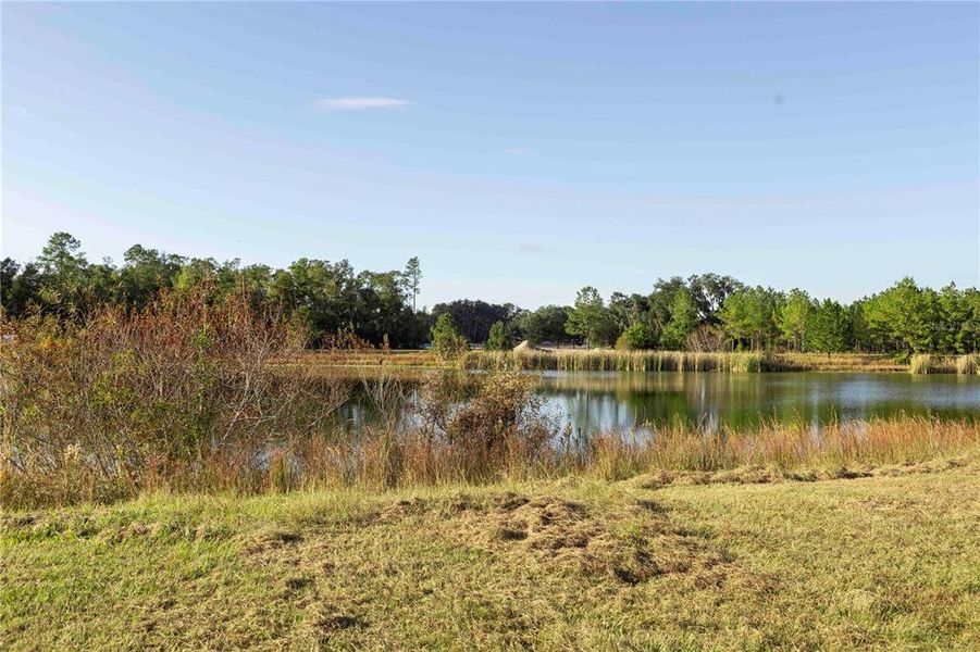 Natural landscape and outdoor views near The Preserve at Laurel Lake in Lake City (Image 80).