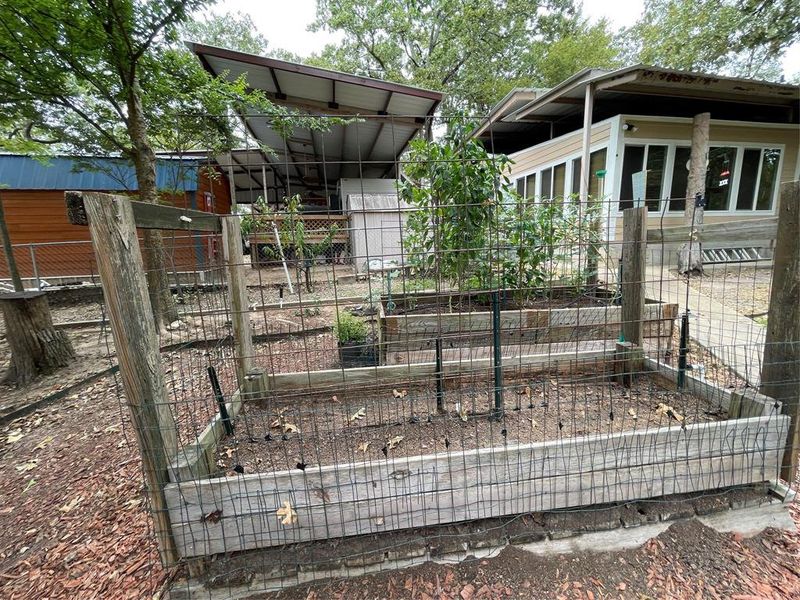 View of yard View of yard