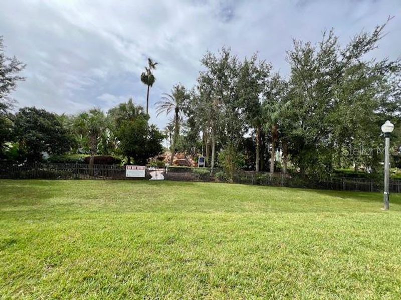 Natural landscape and outdoor views near  in Kissimmee (Image 23).