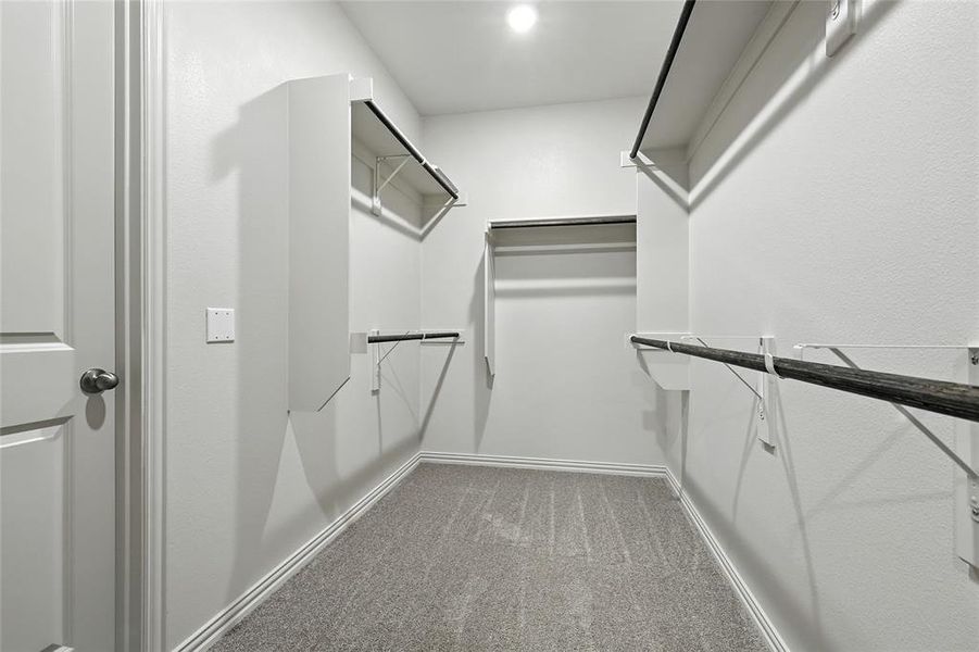 Spacious closet featuring carpet Spacious closet featuring carpet