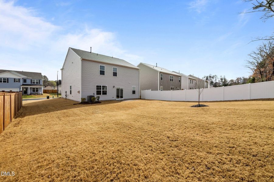 53-web-or-mls-P1110736