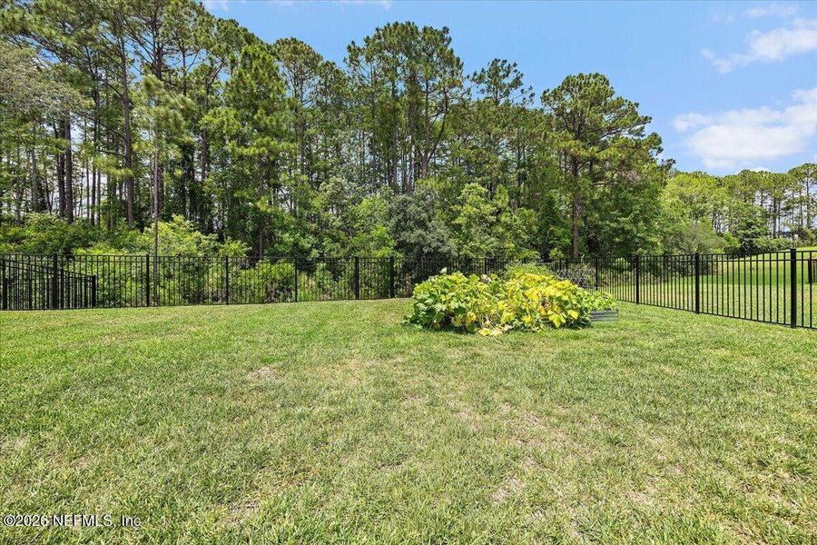 Natural landscape and outdoor views near Edenbrooke at Hyland Trail | 55+ in Green Cove Springs (Image 24).