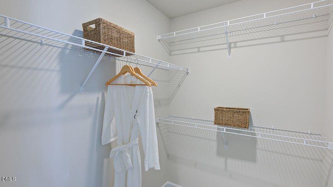 Hamilton_34 Hamilton_34