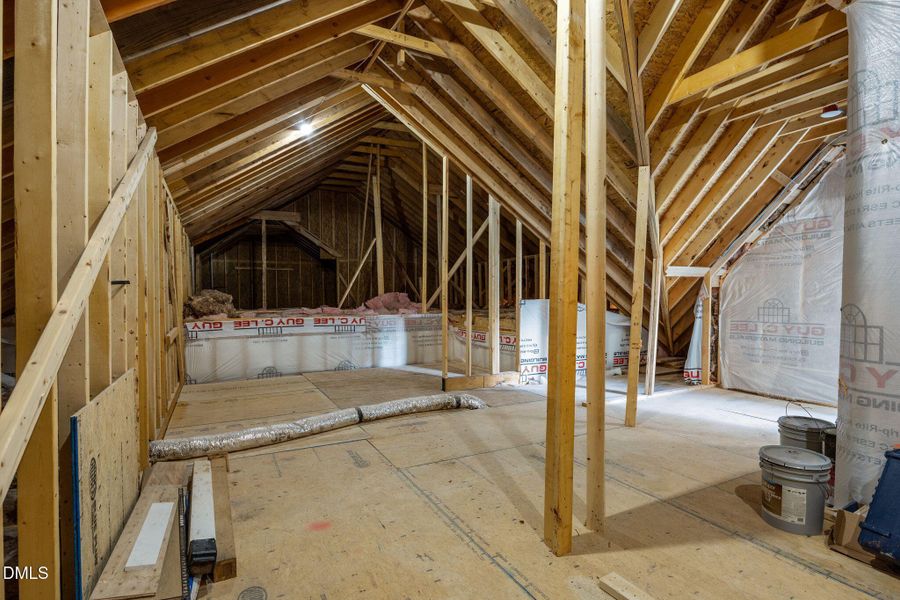 52-web-or-mls-IMG_0253