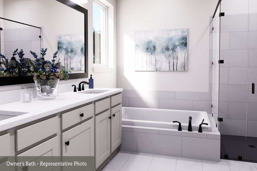 Owner's Bath
