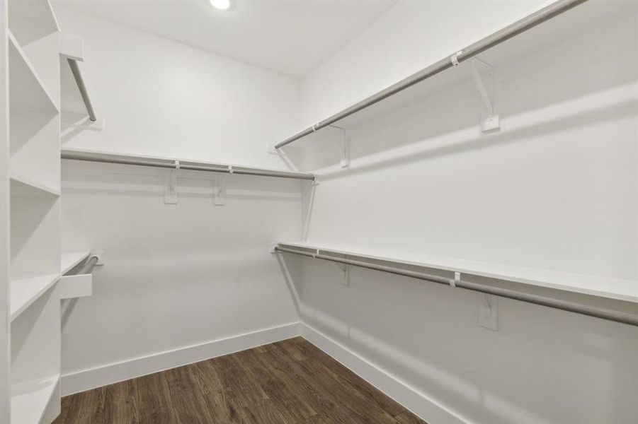 Large Walk-in closet with dark wood-style floors