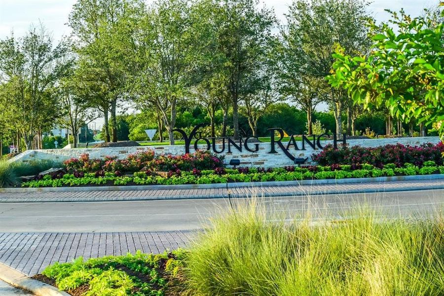 Beautiful neighborhood in Katy ISD