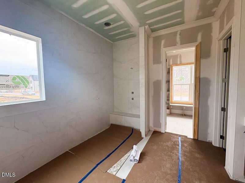 Photo Feb 04 2026, 10 25 36 AM (Medium)