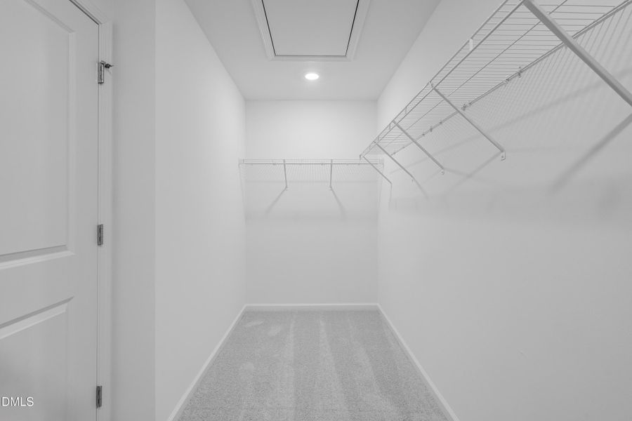 SUN_CaitlinCrossing_Pic_Cameron-31