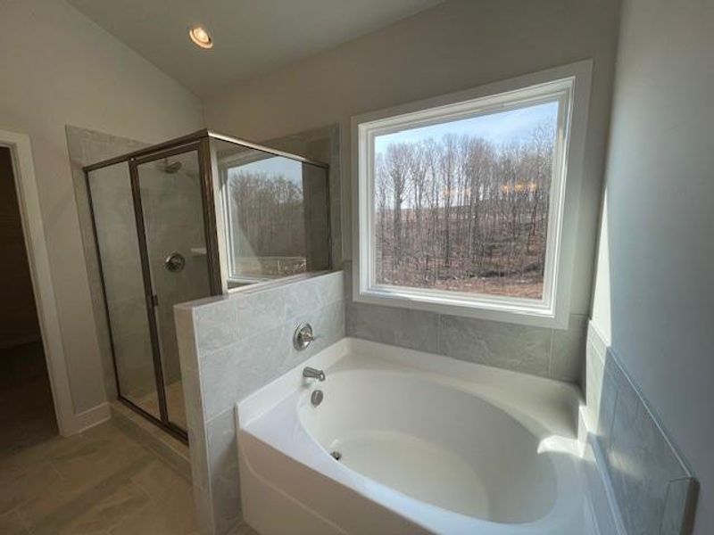 Furnished interior view inside a new home in Ponderosa Farms Estates, Gainesville (Image 9).