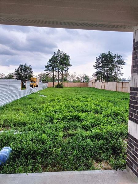 Looking at the backyard from the cover back porch