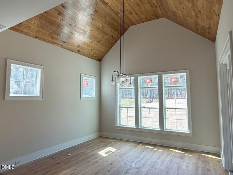 Photo Mar 19 2026, 1 55 22 PM (Medium)