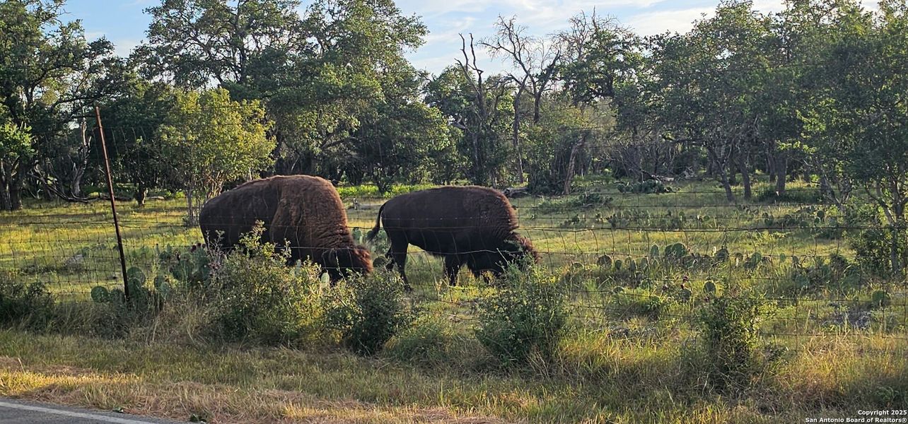 Image 18 of a home in .